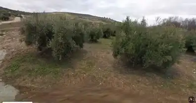 Rustikales Grundstück zum Verkauf in Baena, imagen 2