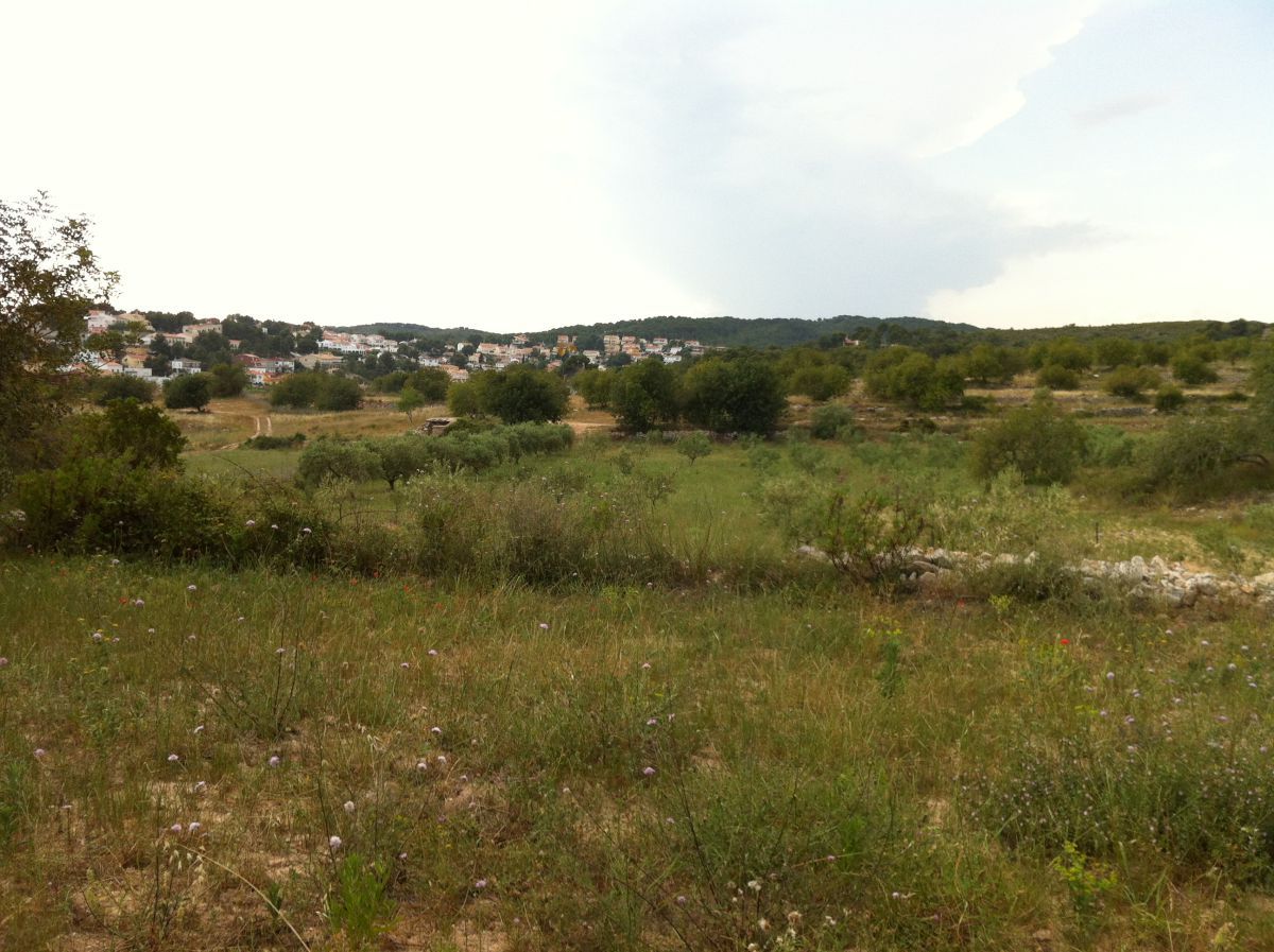 Residencial en venda en La Pobla de Montornès  