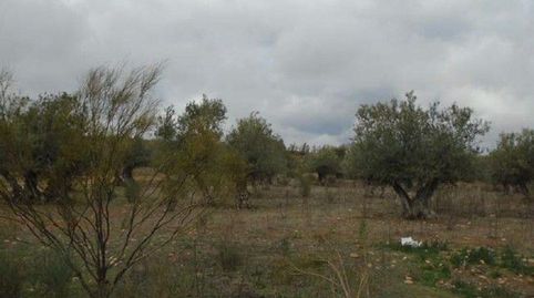 Parcela en venta en Quer., immagine 3