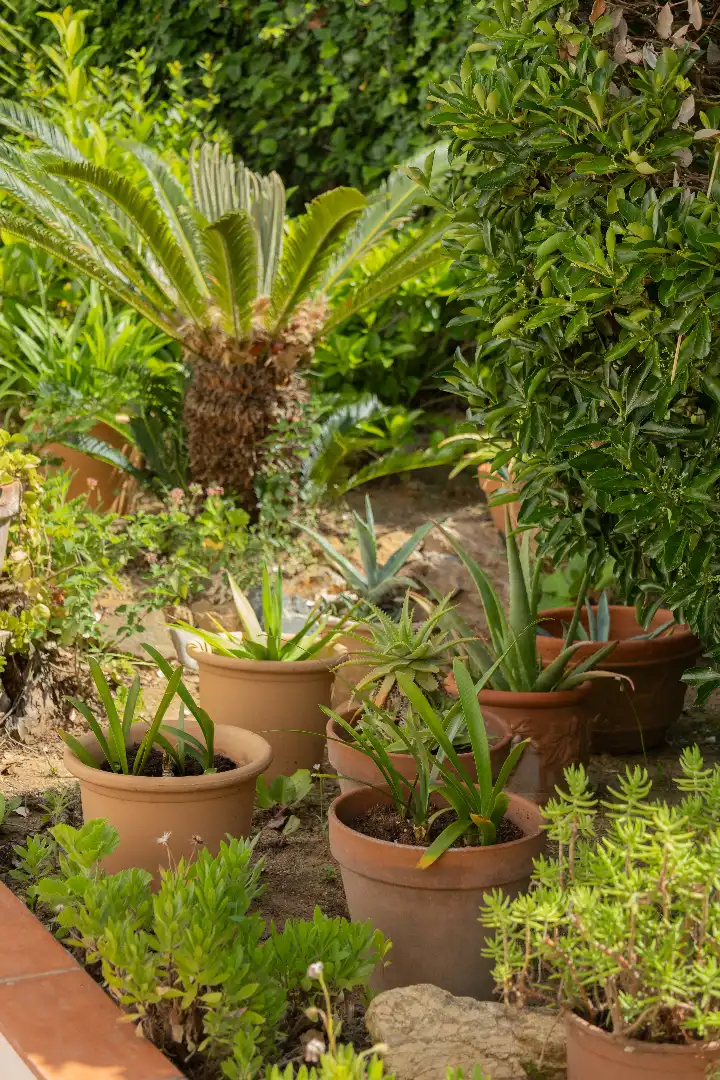 Garten von Wohnung zum Verkauf in Palafrugell mit Heizung, Abstellraum und Ofen