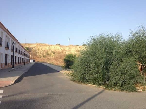 Residential for sale in Bonares
