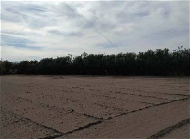 Terreno en Venta en PARTIDA PLATJA DEL REI Nº 94 en Mareny de Barraquetes