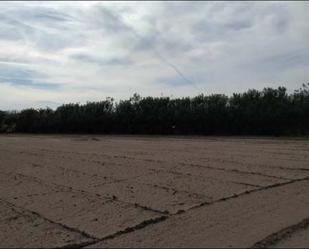Land for sale in Sueca