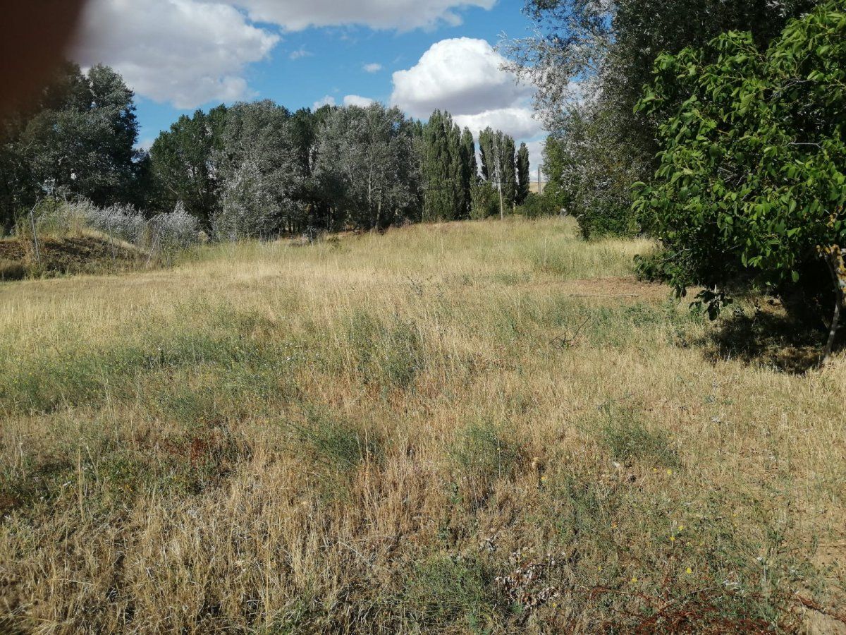 Finca rústica en venda en La Hiniesta 