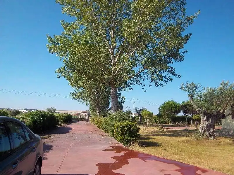 Houses for rent in Área Rural