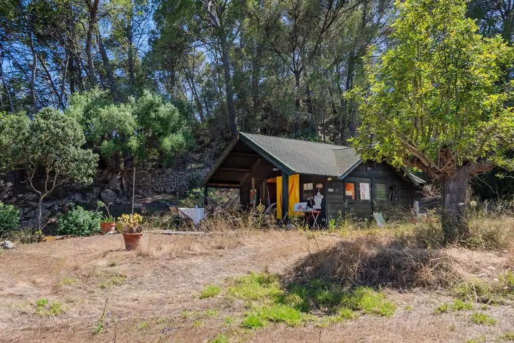 Casa rústica con piscina en venta en Andratx pueblo, imagen 37