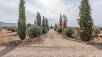 Casa o xalet en venda en Huéscar amb Calefacció i Parquet