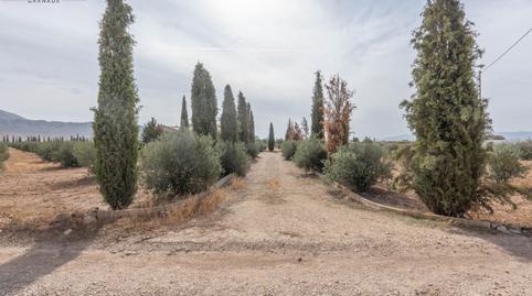 Foto 3 de Casa o xalet en venda a Huéscar, Granada