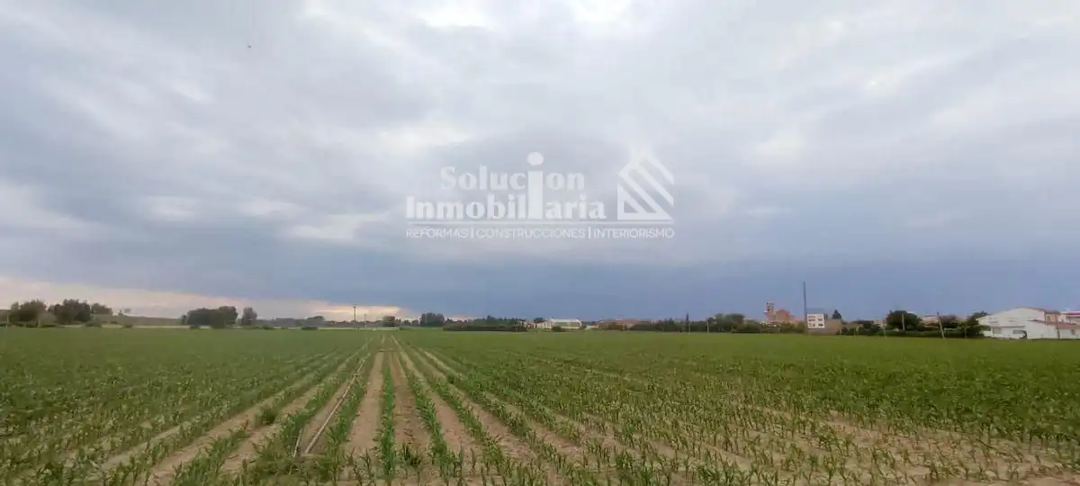 Land for sale in Encinas de Abajo