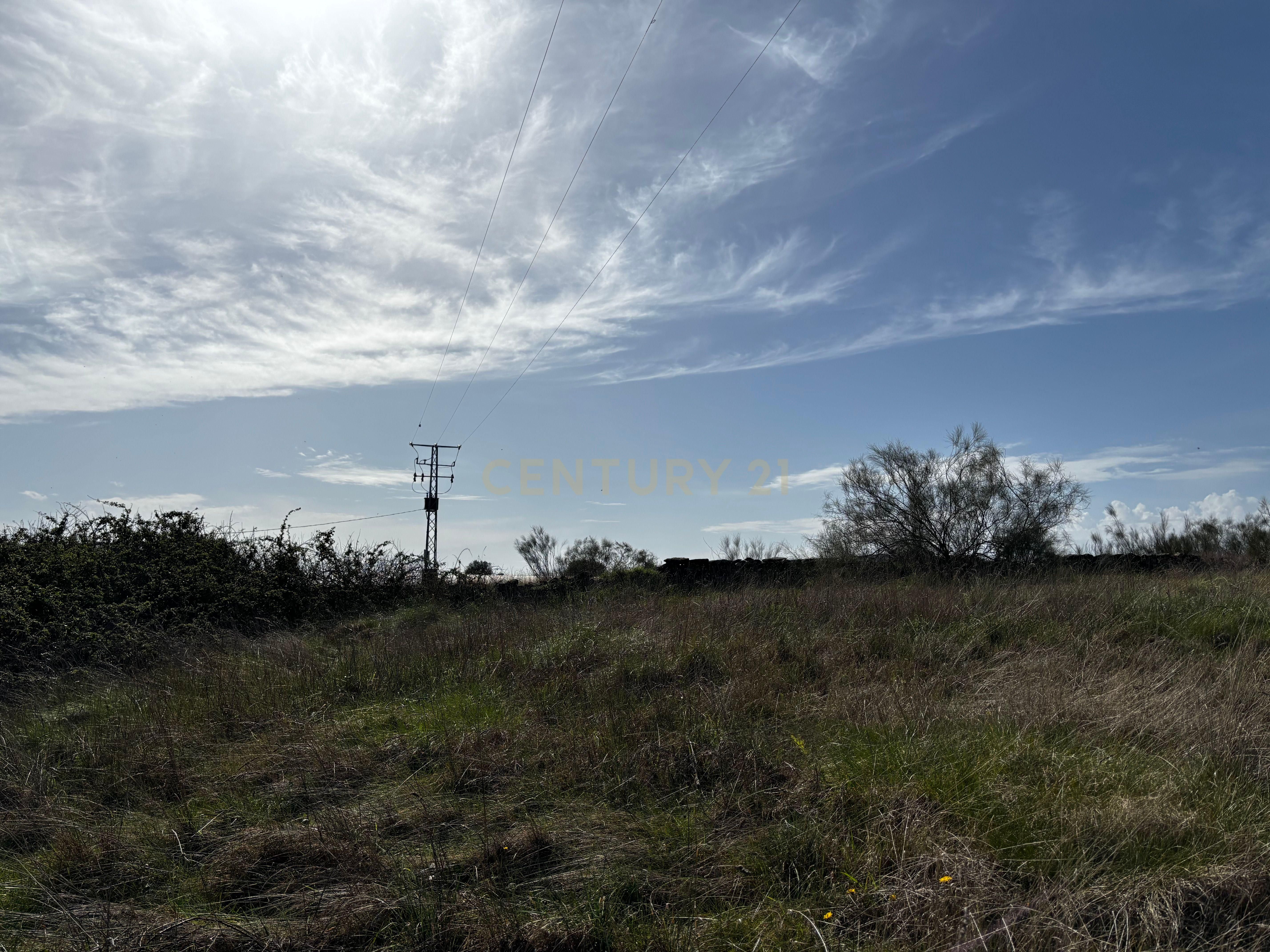 Land for sale in Guijo de Coria