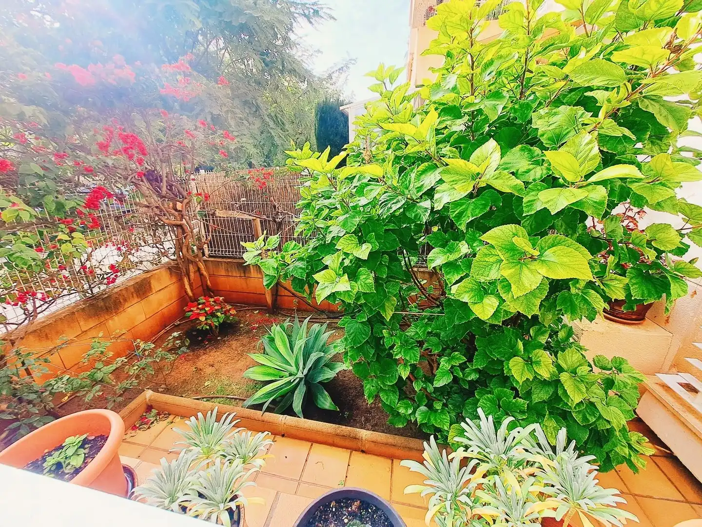 Terrasse von Erdgeschoss zum Verkauf in Calvià mit Privatgarten, Parkett und Terrasse