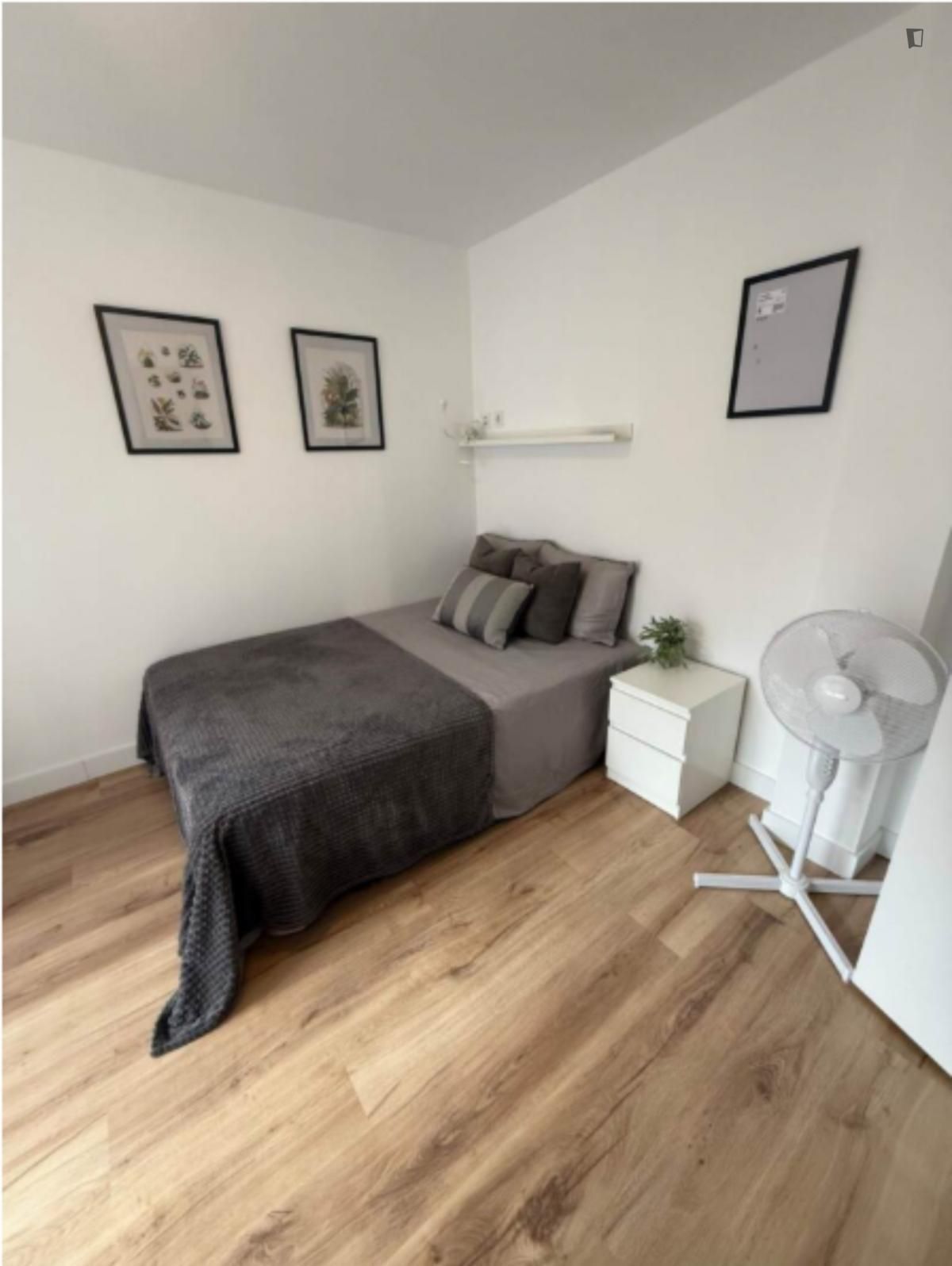 Apartament per a compartir a Carolinas Altas