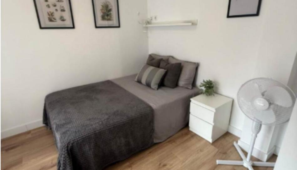 Foto 1 de Apartament per a compartir a Carolinas Altas, Alicante