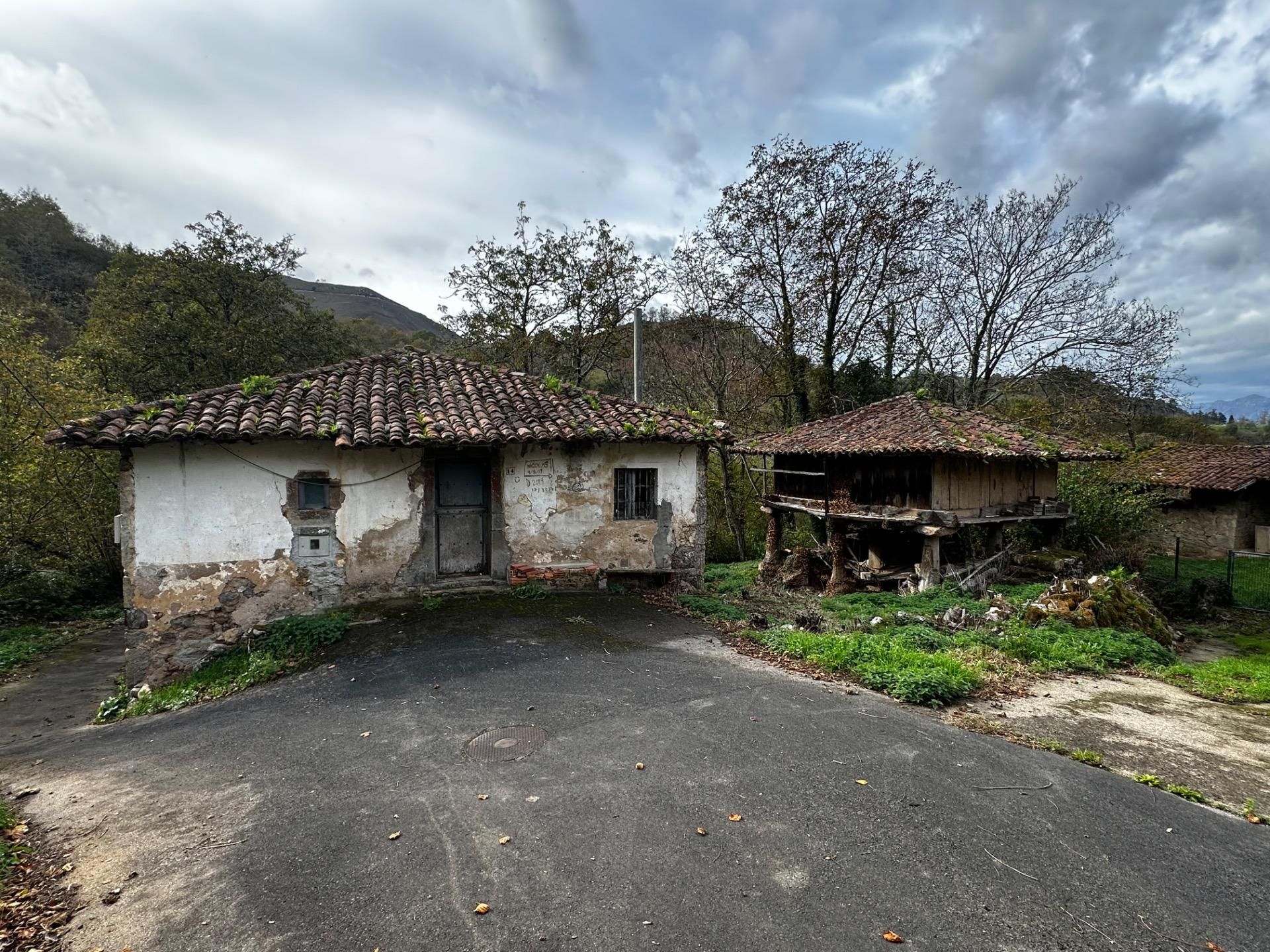 Vista exterior de Casa o chalet en venta en Cangas de Onís con Jardín privado