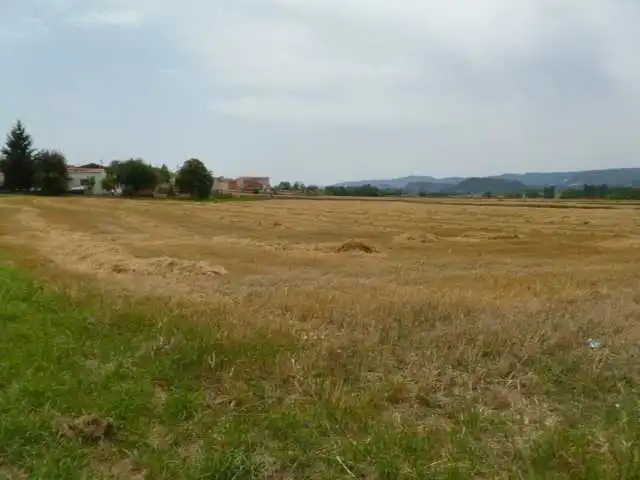 Rustikales Grundstück zum Verkauf in Paraje Torre d’en Franch, imagen 9