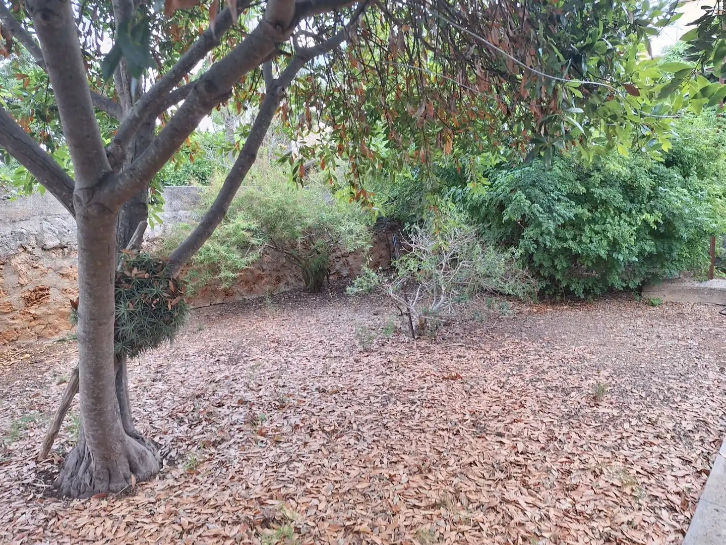 Casa adosada en venda en Algaida amb Jardí privat i Traster