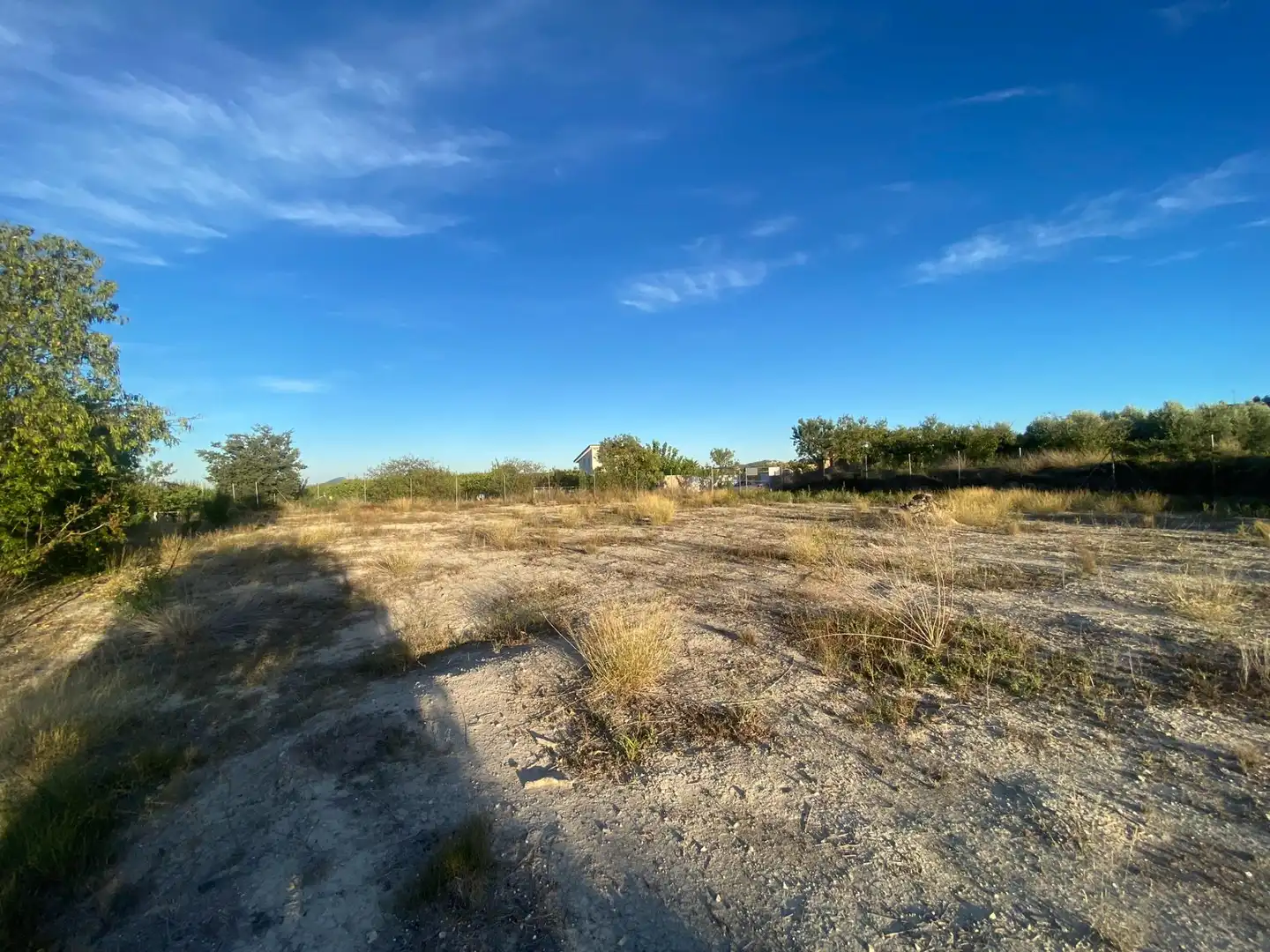 Terreno residenziale in vendita a Moratalla, imagen 9