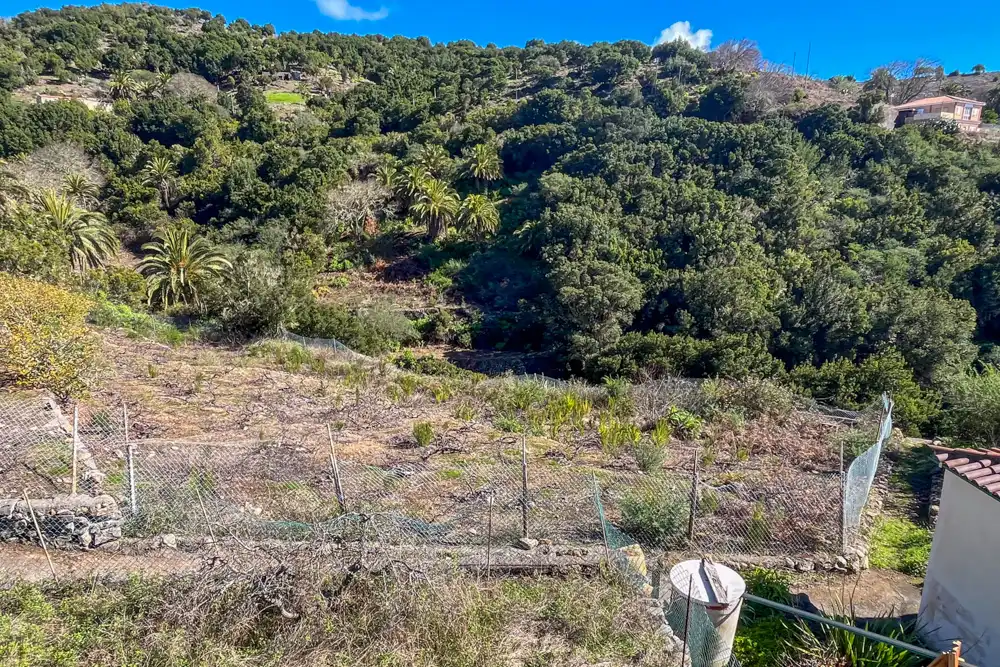 Finca rústica en venta en Valle Gran Rey