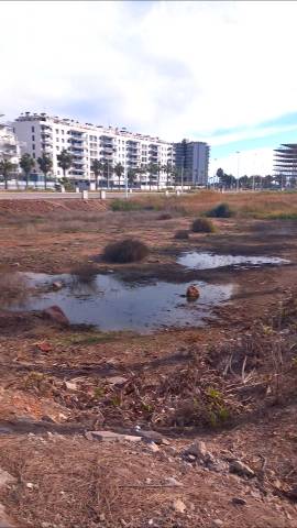 Terreno residencial en Venta en Calle Calle Málaga en Moncófar Playa