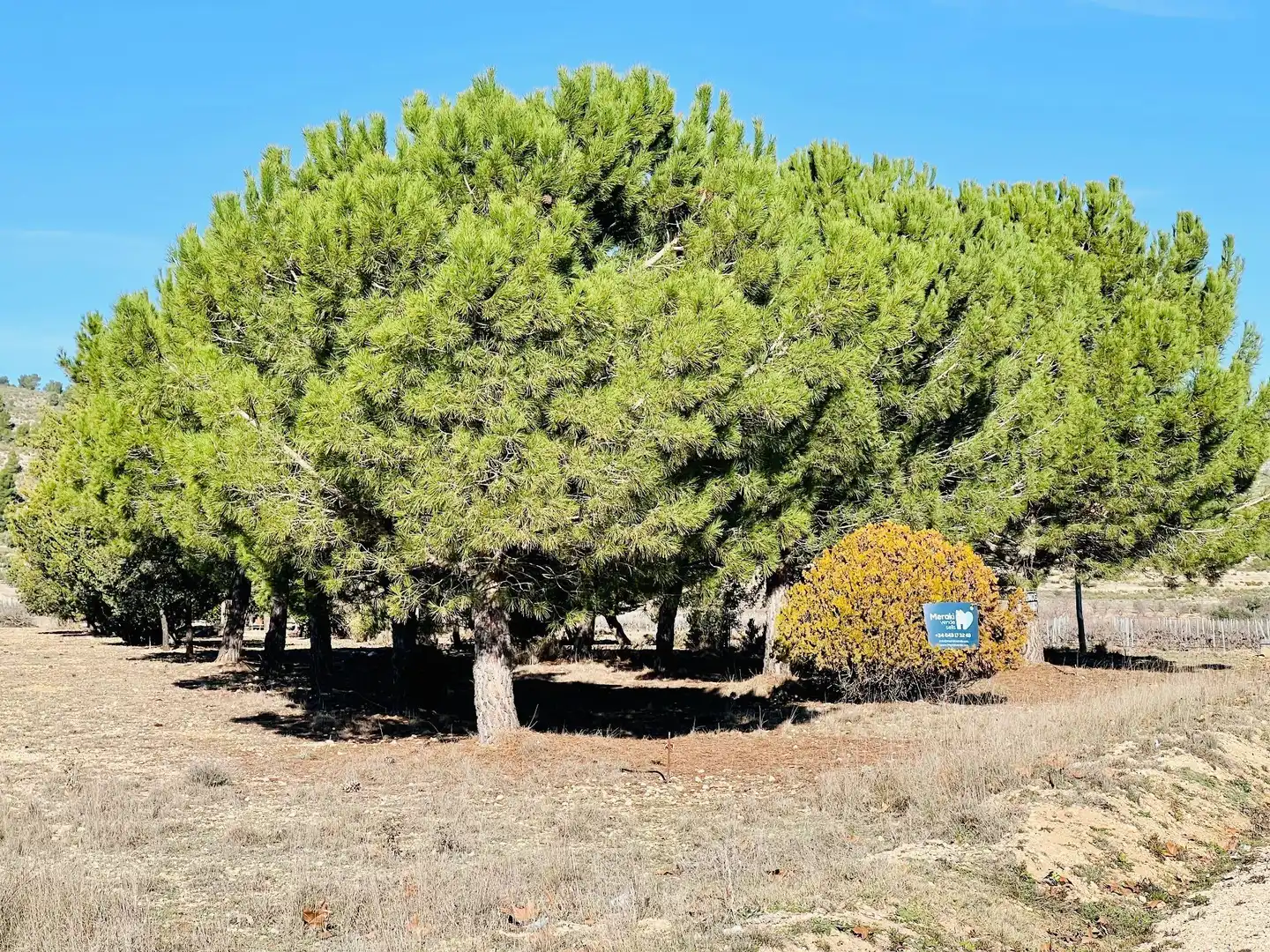 Terreny residencial en venda a Cañada, imagen 23