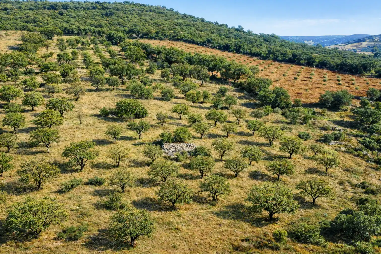 Terreno en venta en Los Navalucillos