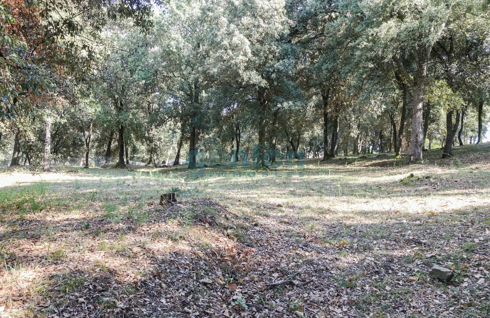 Terreno residenziale in vendita a Diseminado Afueras, imagen 6