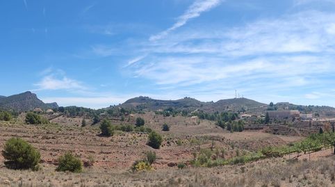 Terreno Rustico Las Canales Aledo, immagine 2