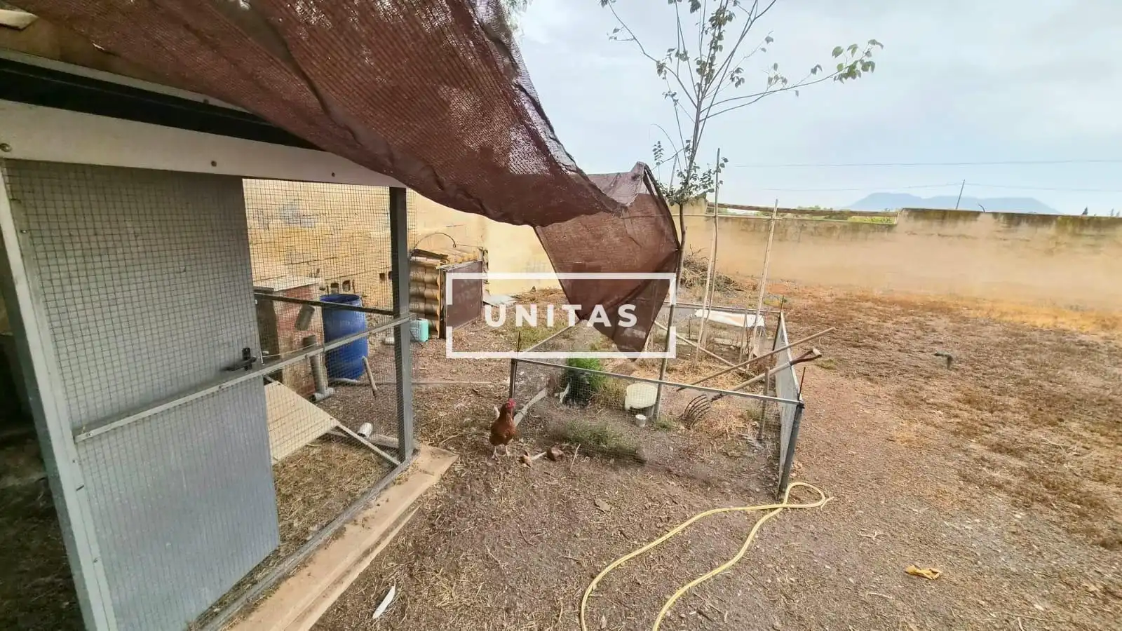 Casa o chalet en venta en Carretera MORALET, Cañada del Fenollar