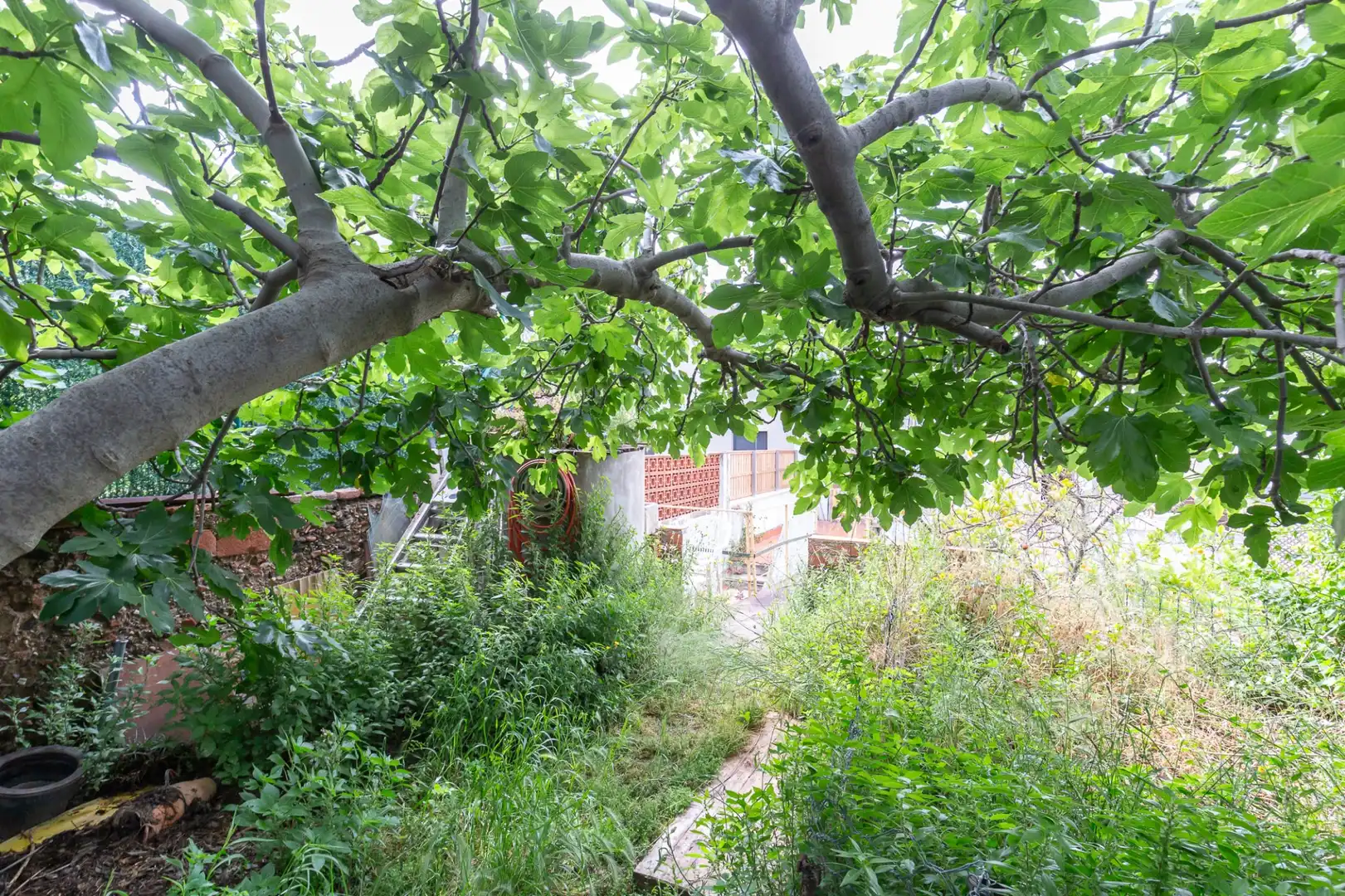 Jardín de Casa adosada en venta en Esplugues de Llobregat con Calefacción, Terraza y Alarma