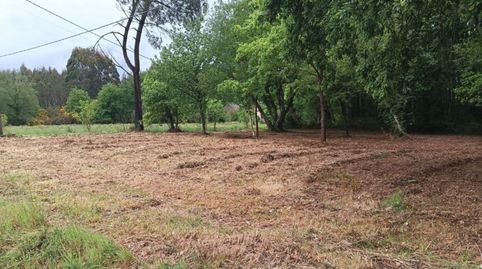 FINCA RÚSTICA CON POTENCIAL MADERABLE E INVERSIÓN EN LUGO, immagine 2