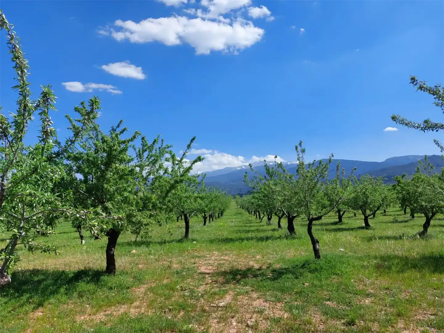 Finca rústica en venda en La Peza