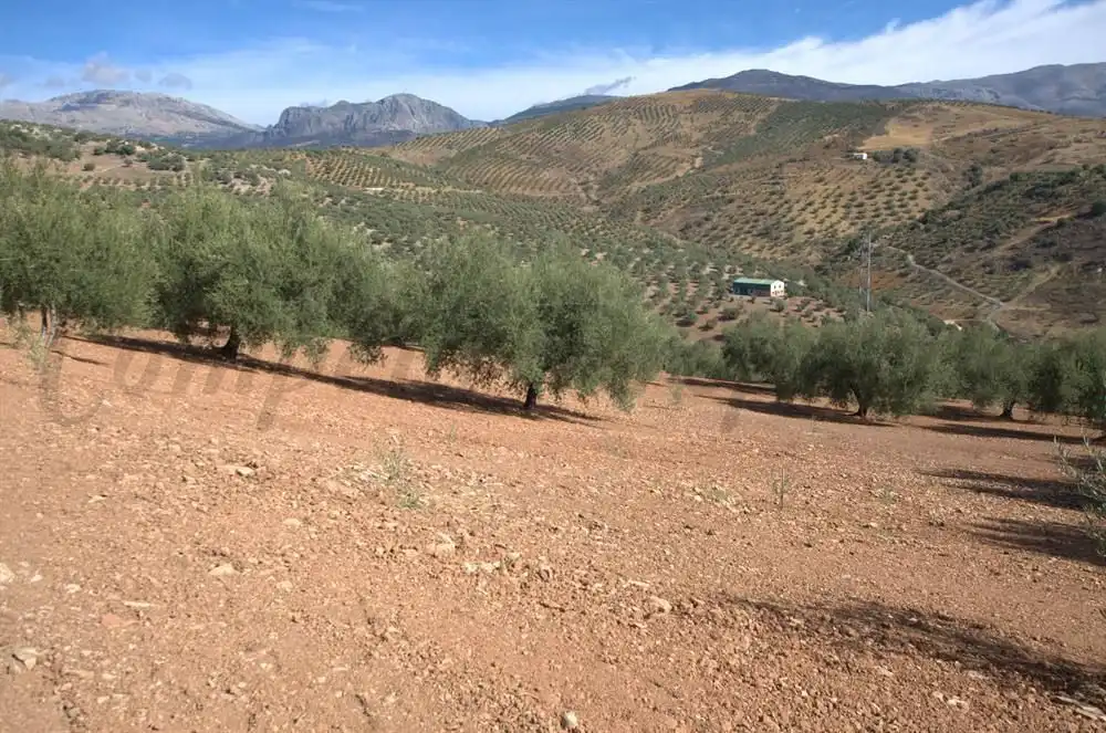 Terreno en venta en Cútar, Málaga
