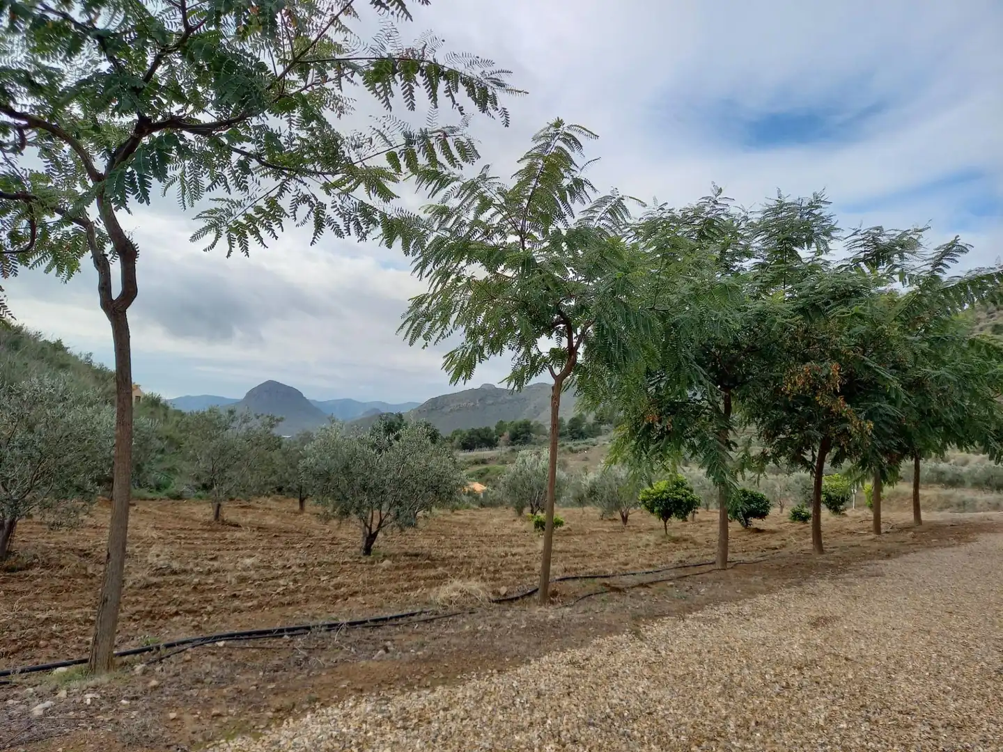 Landhaus mit Pool zum Verkauf in Bolnuevo, imagen 11