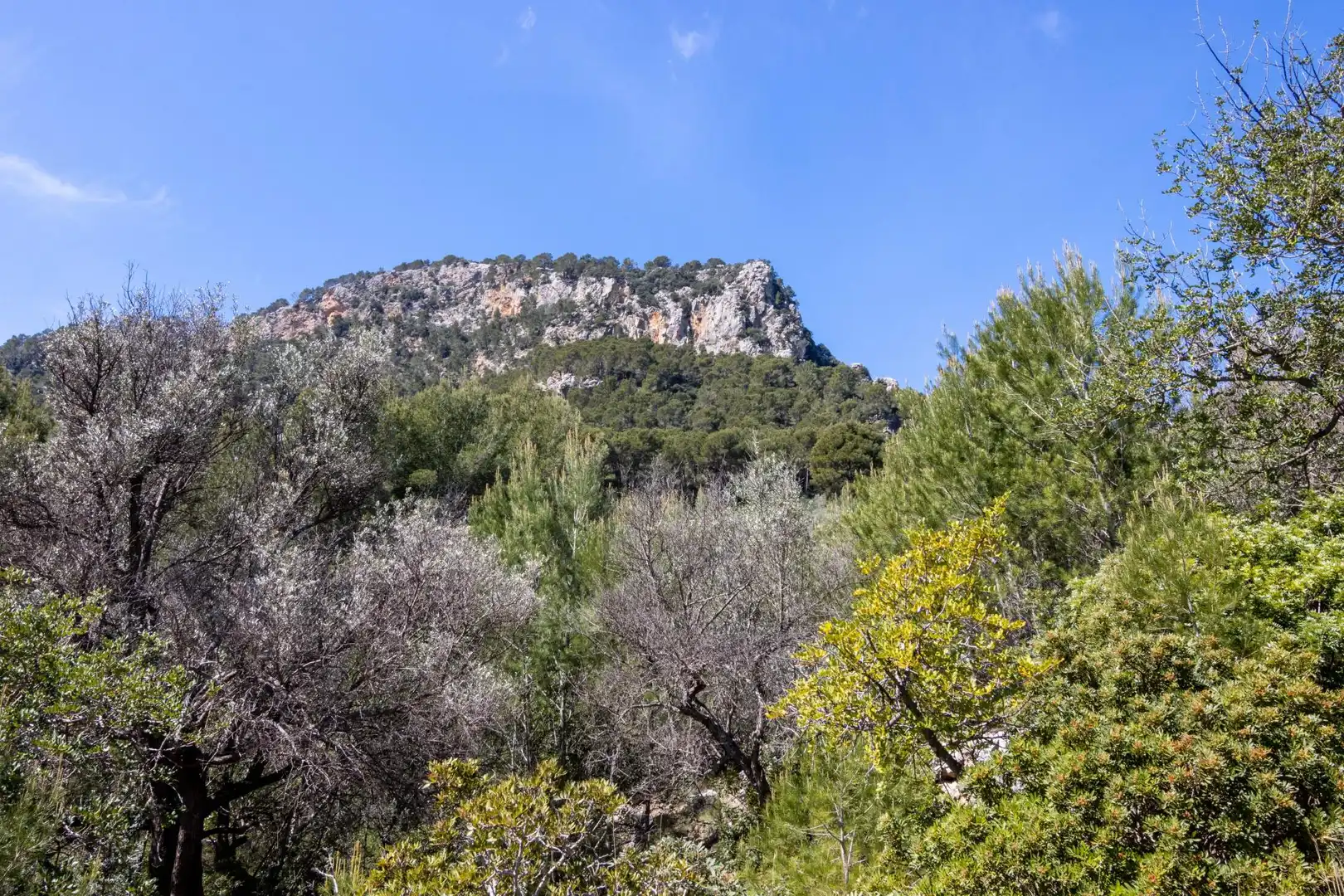 Terreno en venta en Sóller