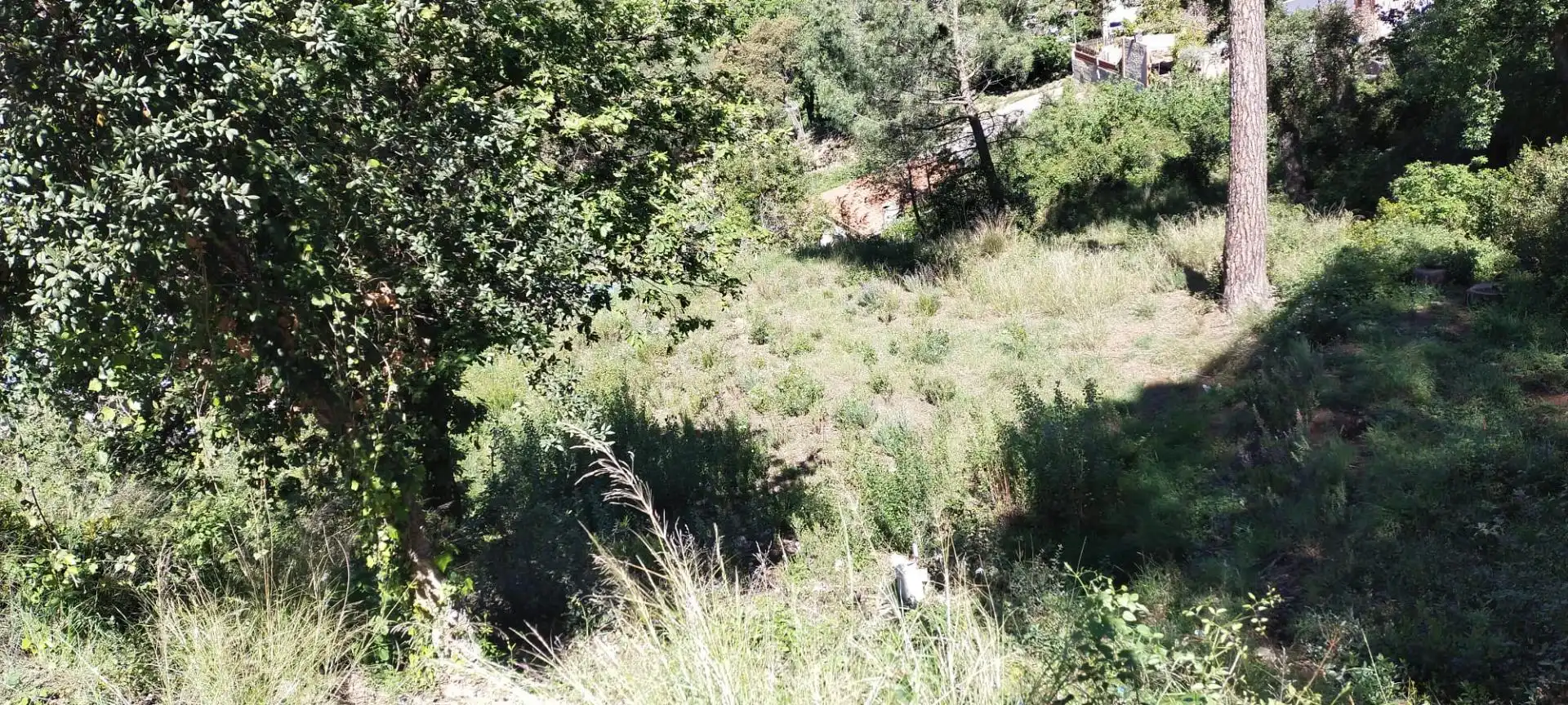 Terrenos y solares en venta en Riudarenes, imagen 2