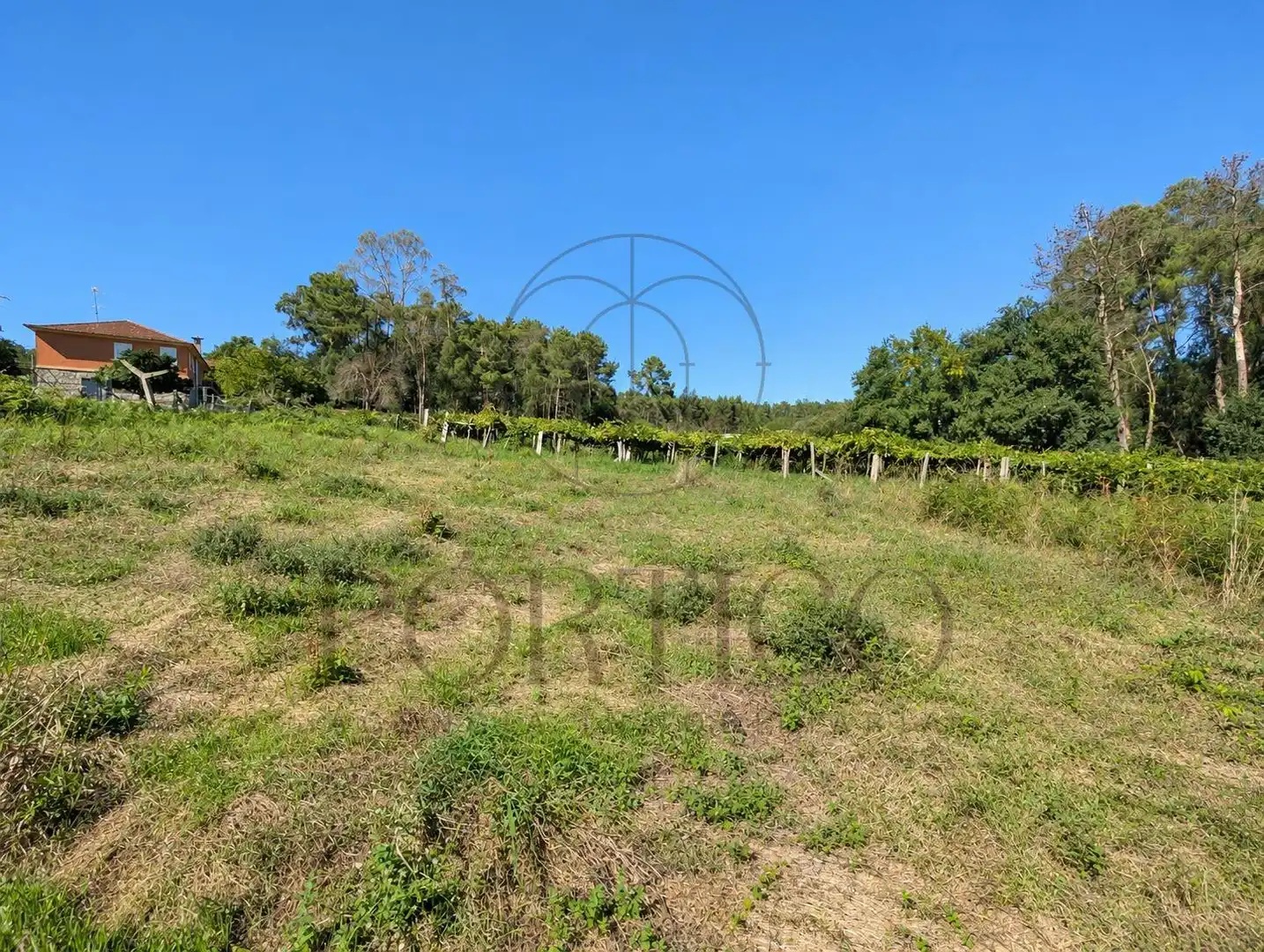 Residential land for sale in Salceda de Caselas