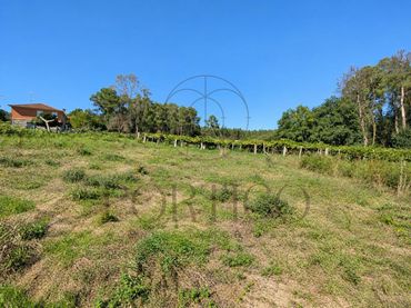 Residential land for sale in Salceda de Caselas