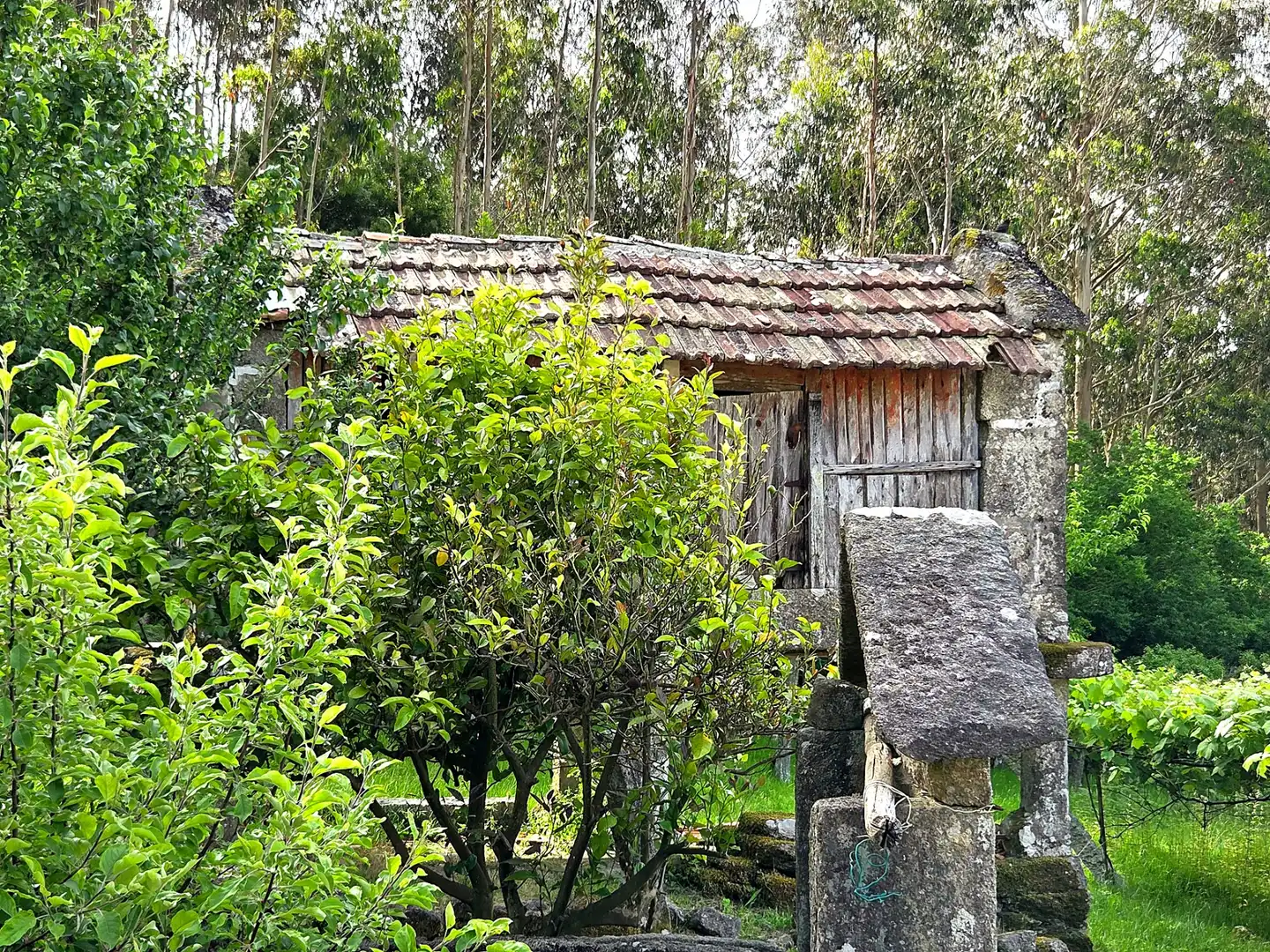 Vista exterior de Finca rústica en venta en Meis con Jardín privado y Terraza