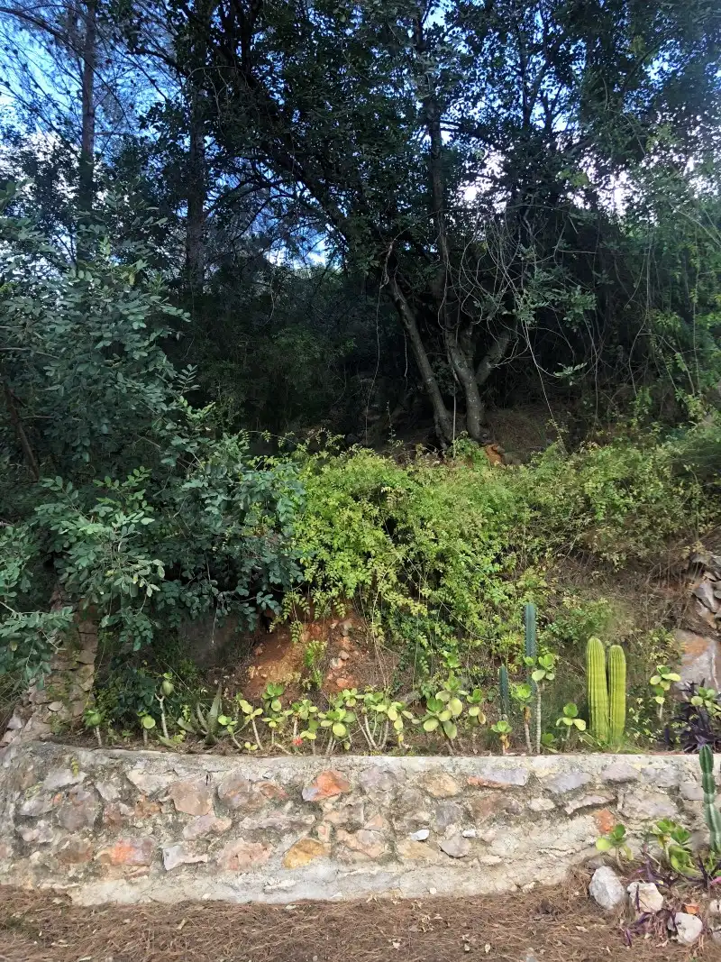 Finca rústica en venda en Vilallonga / Villalonga