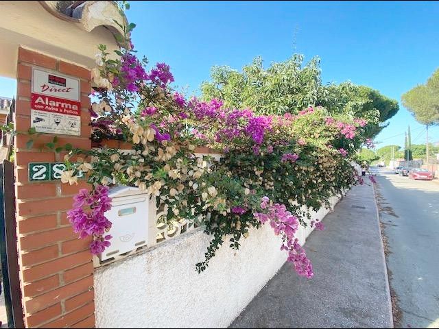Casa o xalet de lloguer a Pinos de Alhaurín