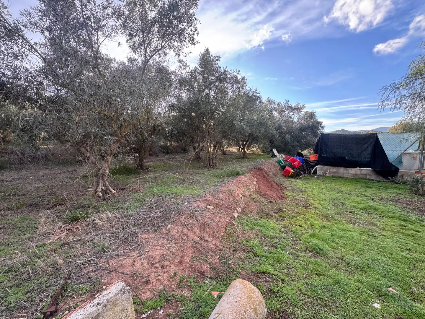Casa o chalet en venta en Cehegín con Jardín privado, Trastero y Balcón
