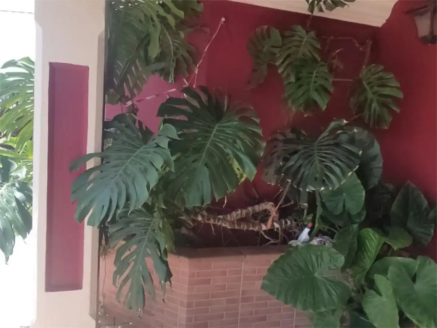 Terreno en venta en Villamartín, Cádiz