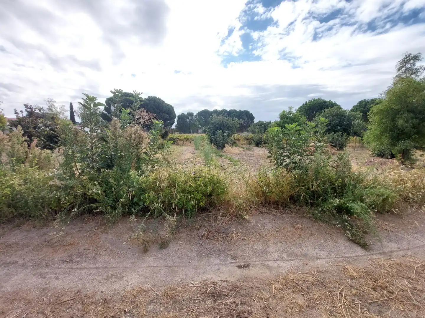Terreni e lotti in vendita a Santa Cruz del Retamar pueblo, imagen 8