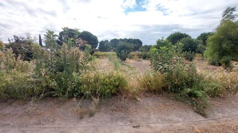 Photo 4 of Land for sale in Santa Cruz del Retamar pueblo, Toledo