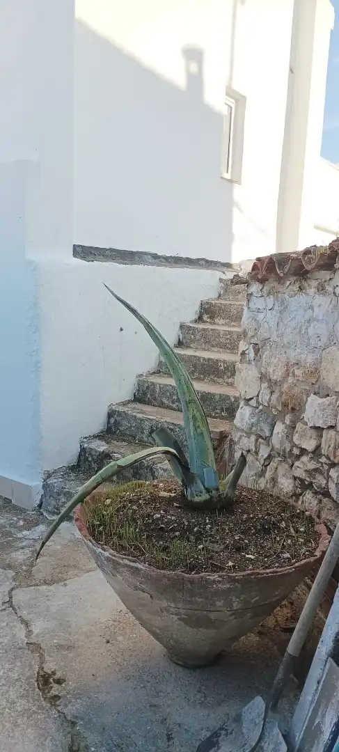 Casa in vendita a Calle de Isabelo de la Torre, imagen 18