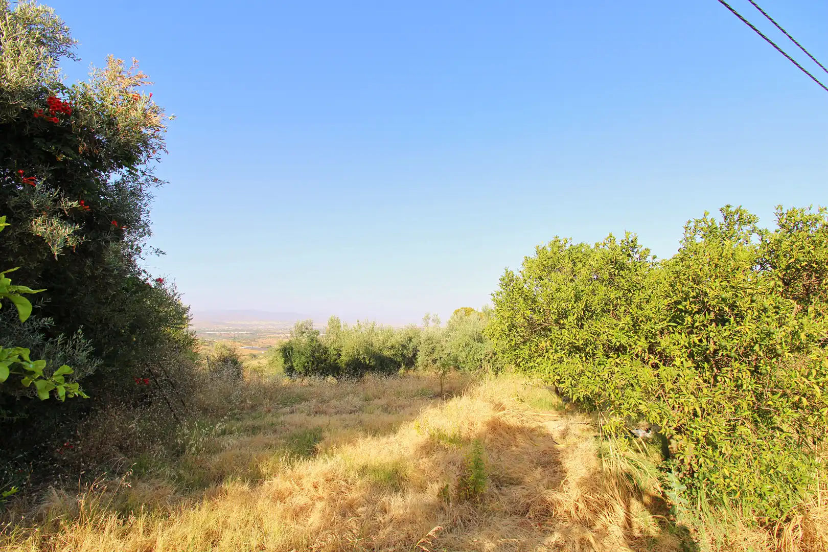 Terreno rustico in vendita a Camino las Barrancas, imagen 3