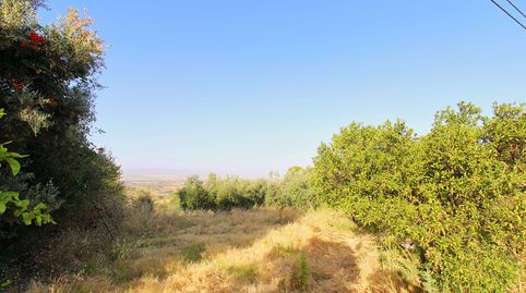 Foto 3 von Grundstücke zum Verkauf in Camino las Barrancas, Buenavista - Lauro Golf, Alhaurín de la Torre