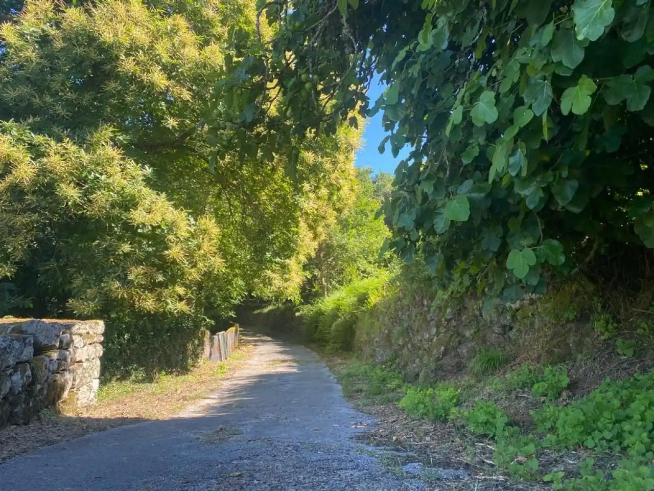Casa o xalet en venda a Nogueira de Ramuín