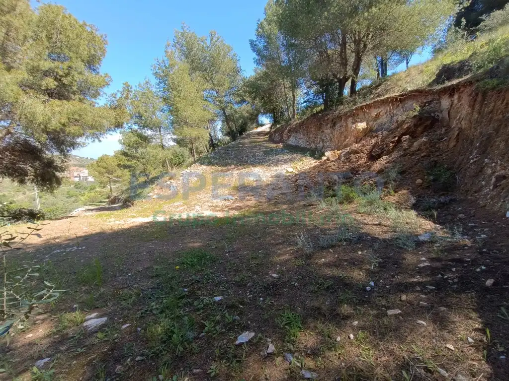Terreno rustico in vendita a Diseminados Diseminados, imagen 9