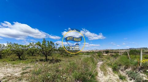 LOTE DE PARCELAS DE TERRENO EN PRODUCCIÓN DE FRUTALES CON 54.441m2 A SU DISPOSICIÓN EN AGULENT, immagine 3